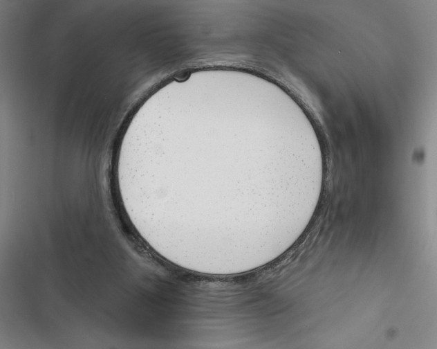 X0000116380107201001131817