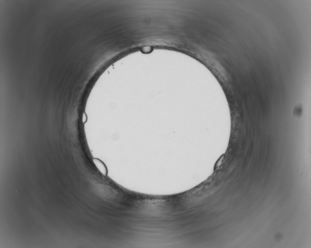 X0000116380108201001131817