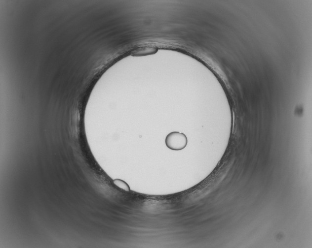 X0000116380109201001131817