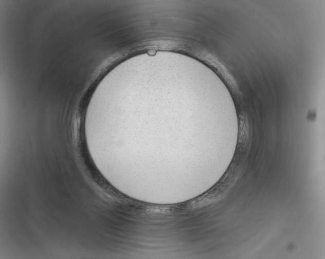 X0000116380110201001131817
