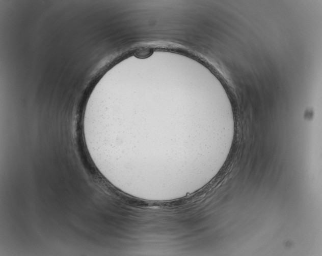 X0000116380111201001131817