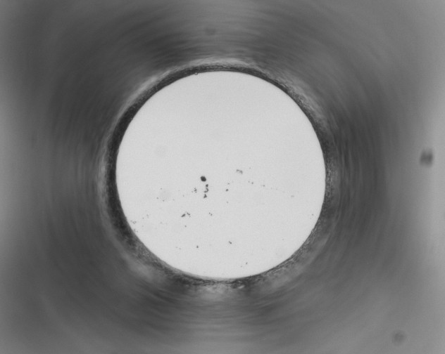 X0000116380112201001131816