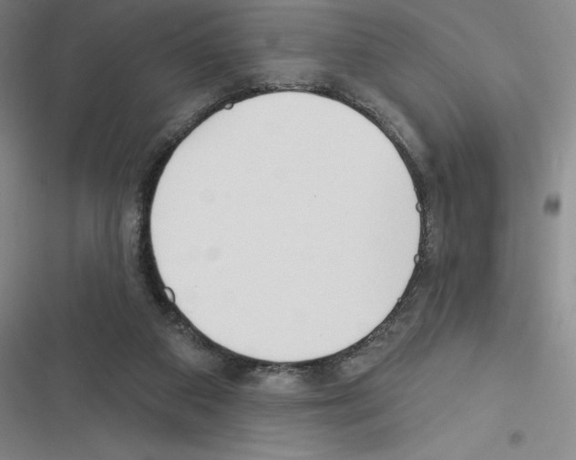 X0000116380113201001131816