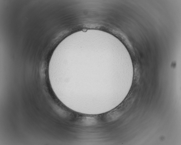 X0000116380114201001131816