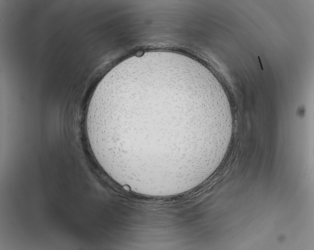 X0000116380115201001131816