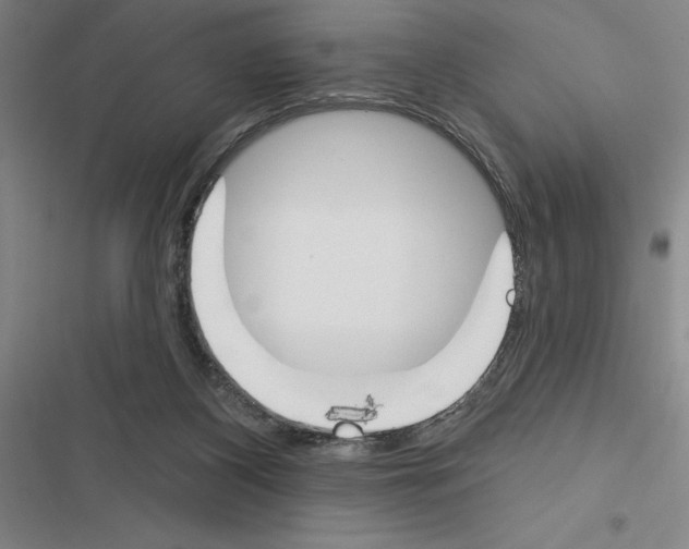 X0000116380116201001131816
