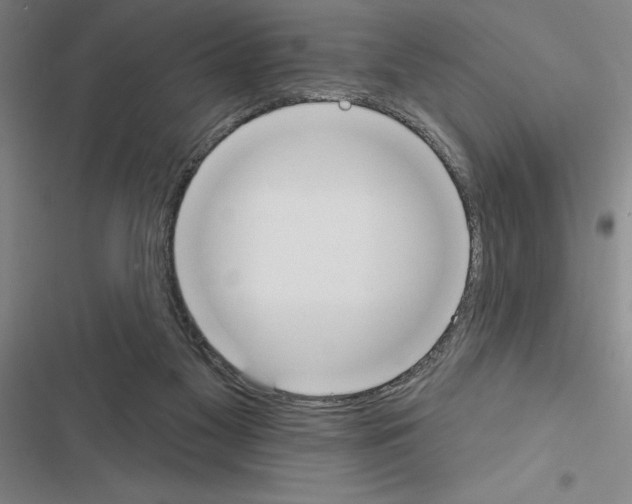 X0000116380117201001131816