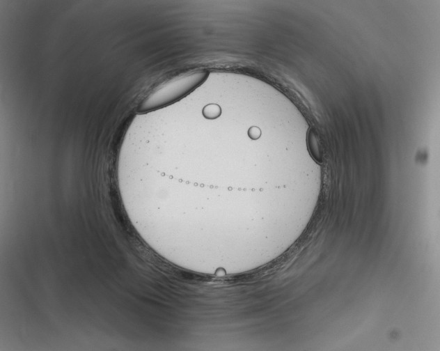X0000116380119201001131816