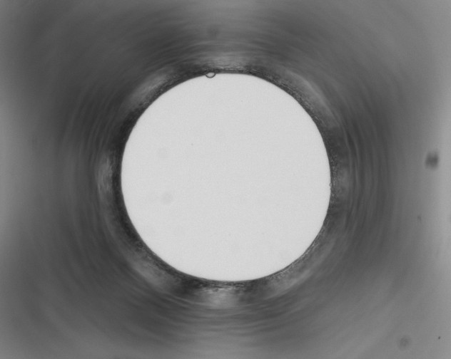 X0000116380120201001131816