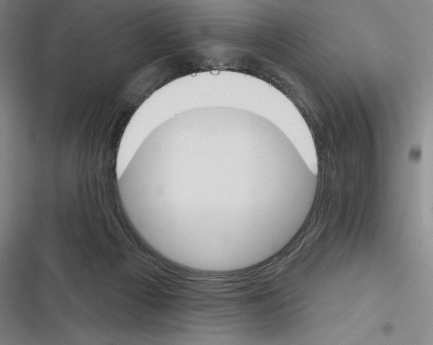 X0000116380121201001131816