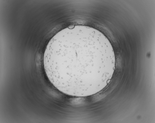 X0000116380122201001131816