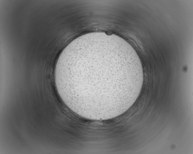 X0000116380123201001131816