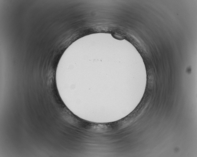 X0000116380125201001131816