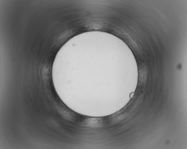 X0000116380126201001131816