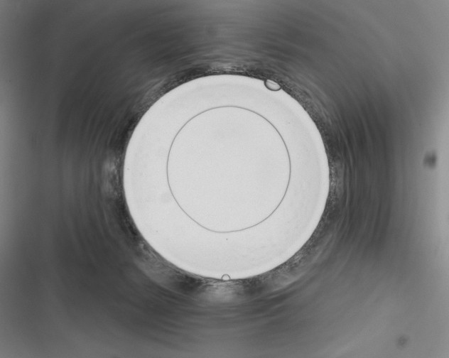 X0000116380127201001131816