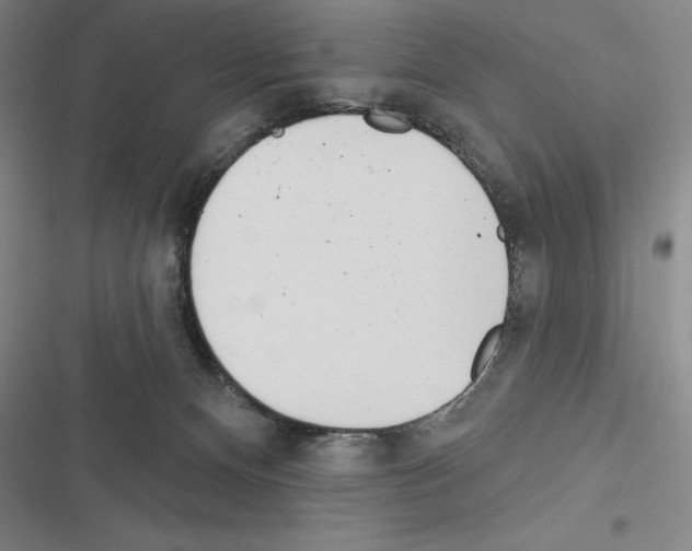 X0000116380128201001131816