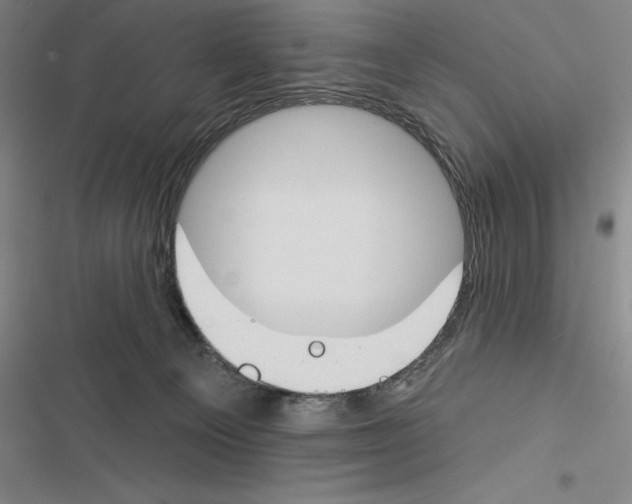X0000116380129201001131816