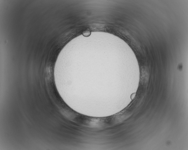 X0000116380130201001131816