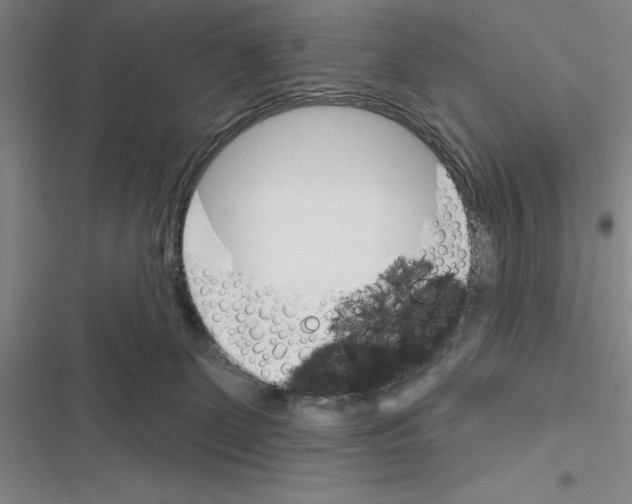 X0000116380131201001131816