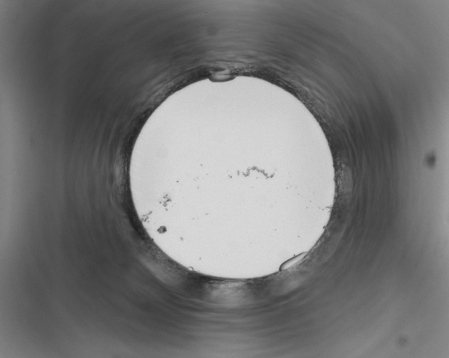 X0000116380132201001131816