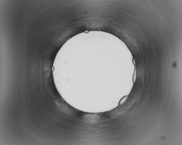 X0000116380133201001131816