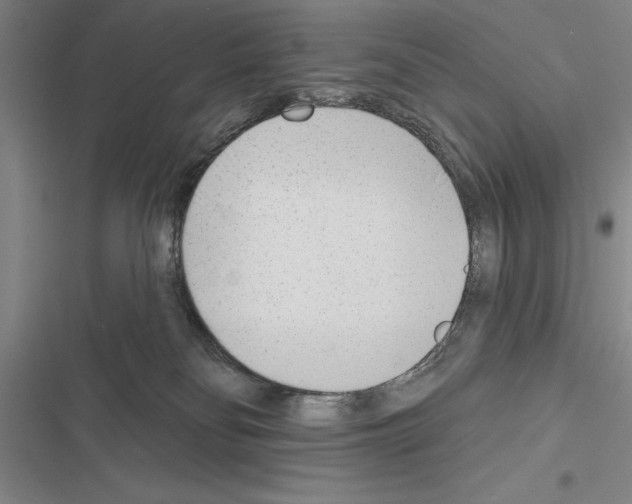 X0000116380134201001131816