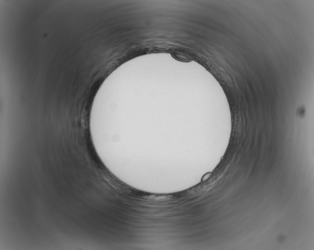 X0000116380135201001131816
