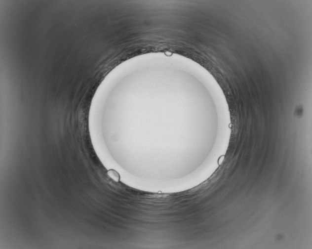 X0000116380136201001131816