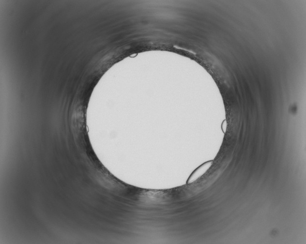 X0000116380137201001131816