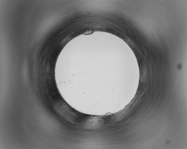 X0000116380140201001131816