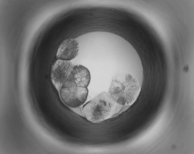 X0000116380143201001131816