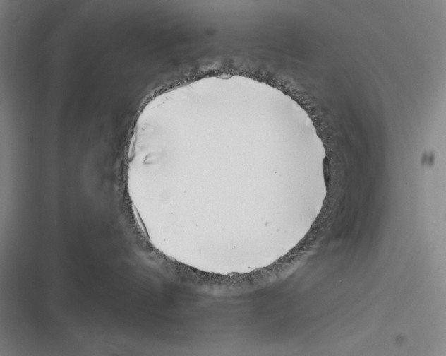 X0000116380144201001131816