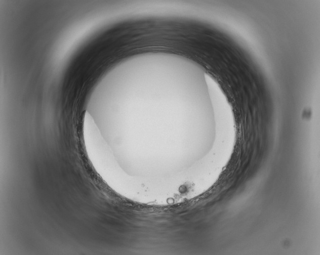 X0000116380146201001131815