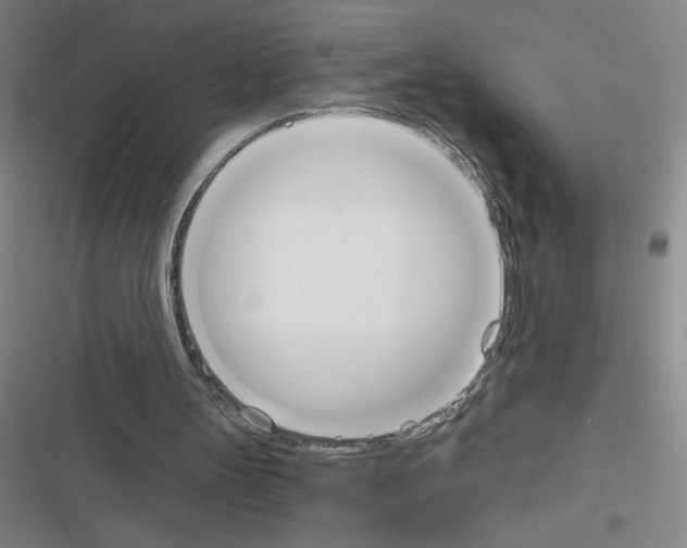 X0000116380147201001131815
