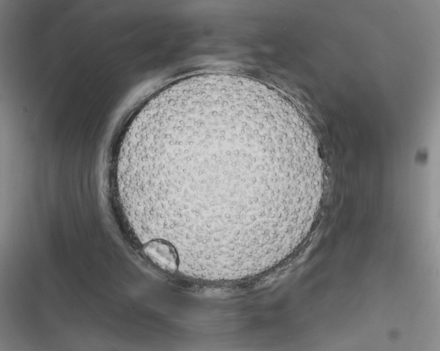 X0000116380149201001131815