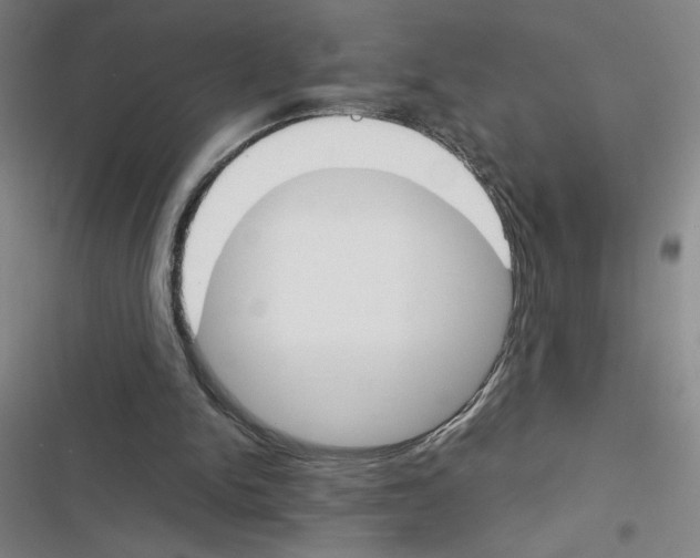 X0000116380150201001131815