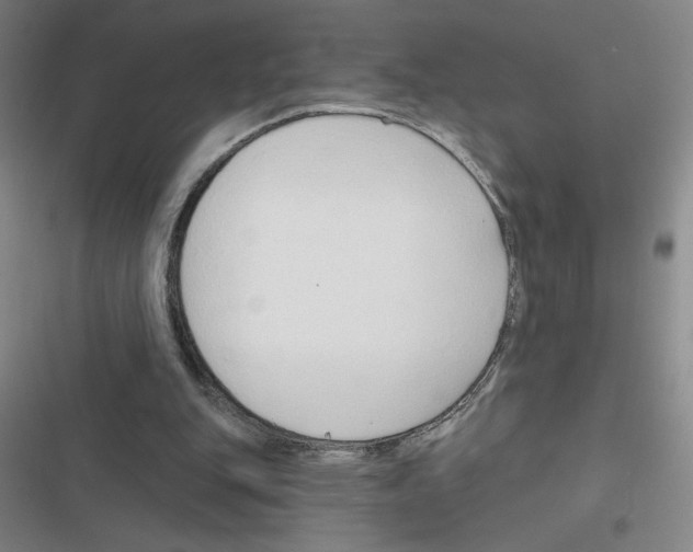 X0000116380151201001131815