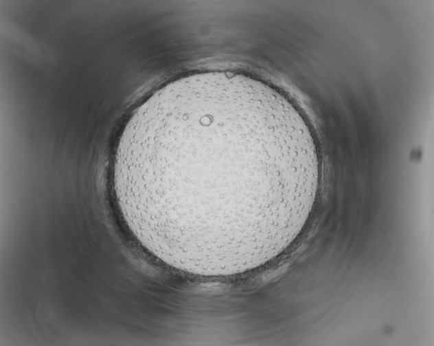 X0000116380153201001131816