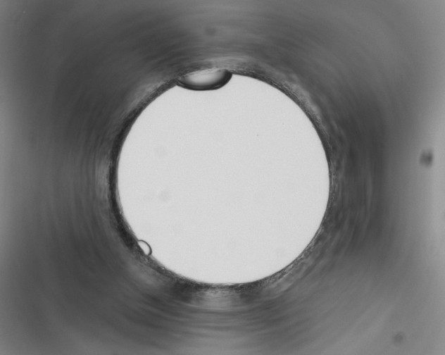 X0000116380154201001131816