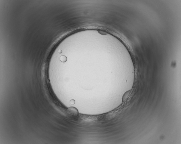 X0000116380155201001131816