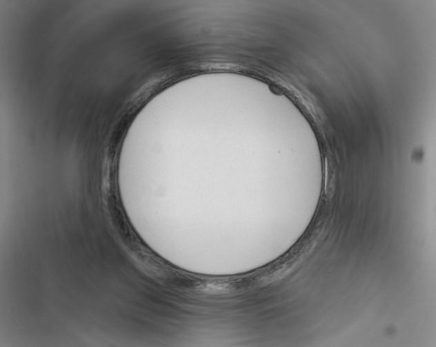 X0000116380157201001131816