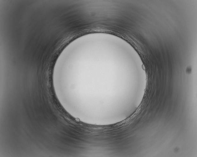 X0000116380158201001131816