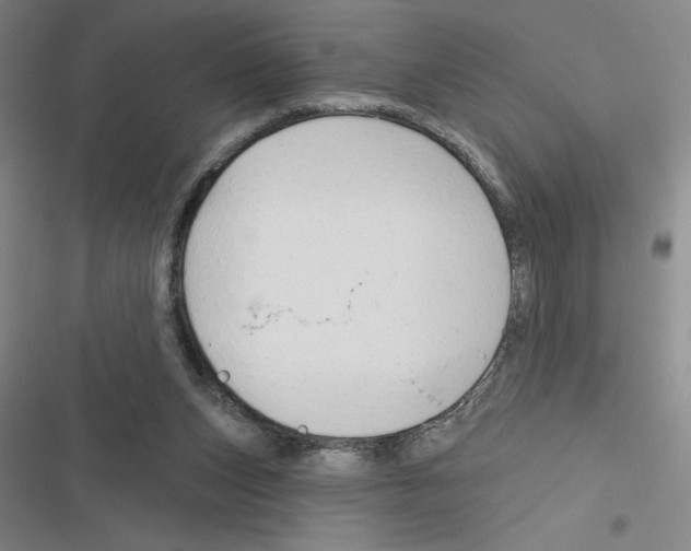 X0000116380159201001131816