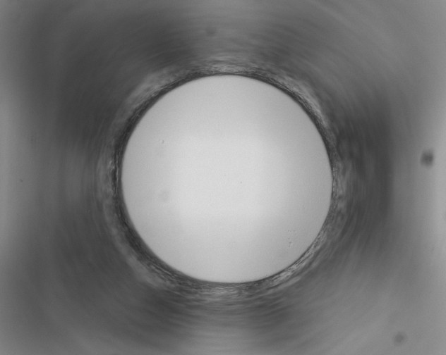 X0000116380162201001131816