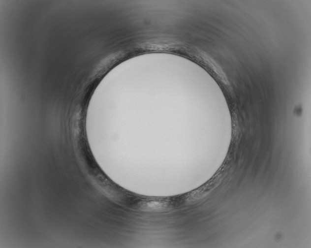 X0000116380163201001131816