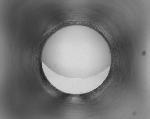 X0000116380165201001131816