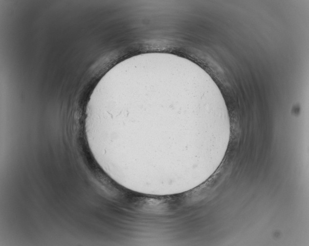 X0000116380166201001131816