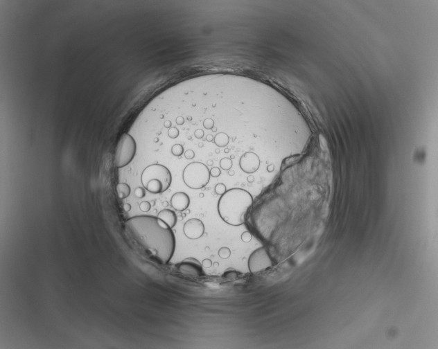 X0000116380167201001131816