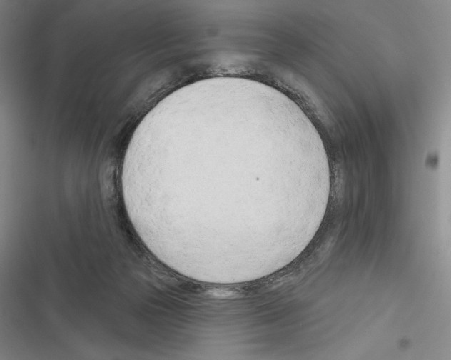 X0000116380169201001131816