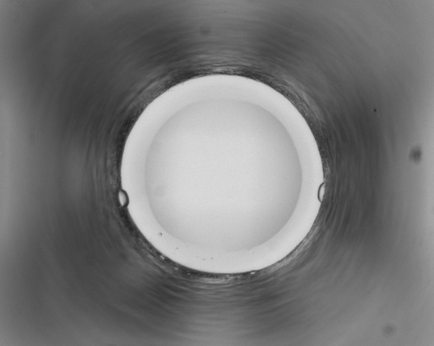 X0000116380170201001131816